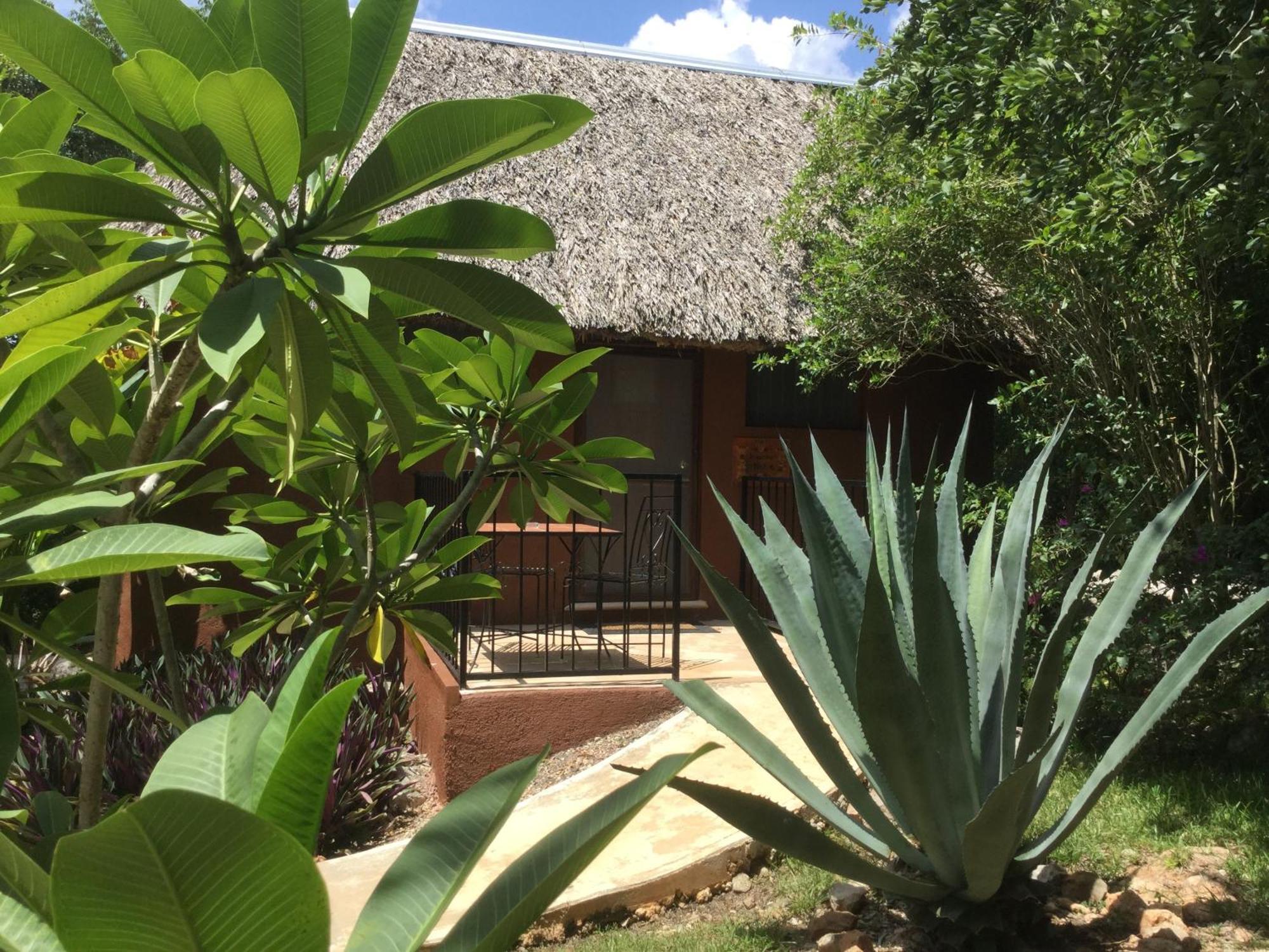The Pickled Onion B&B And Restaurant Uxmal Santa Elena Værelse billede