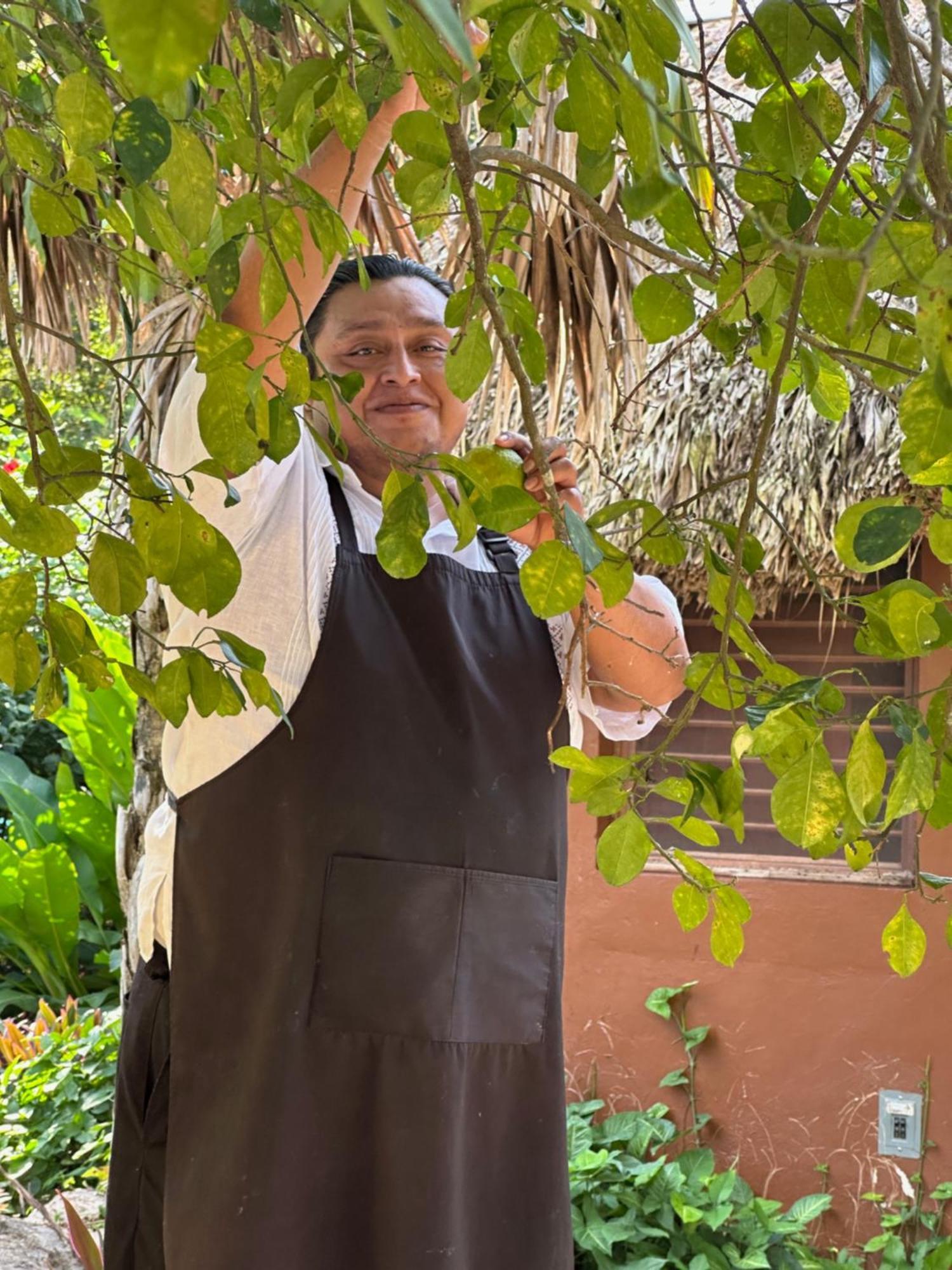 The Pickled Onion B&B And Restaurant Uxmal Santa Elena Eksteriør billede