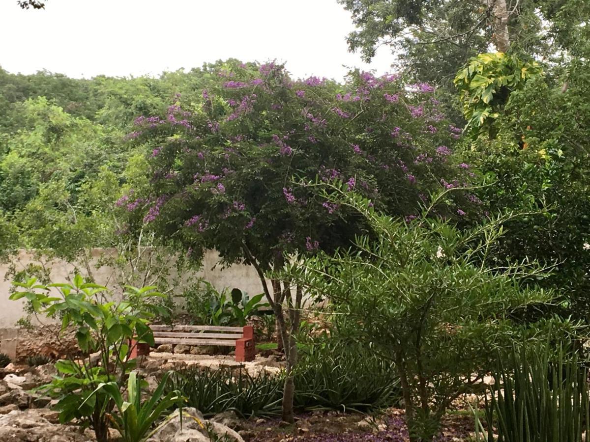 The Pickled Onion B&B And Restaurant Uxmal Santa Elena Eksteriør billede
